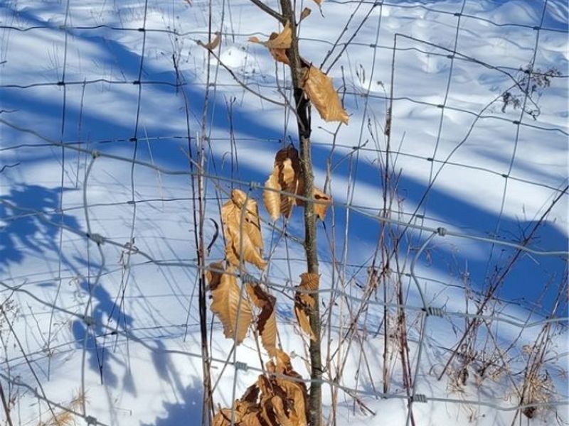 33480 County Road 99, Warsaw, OH 43844 Photo 37