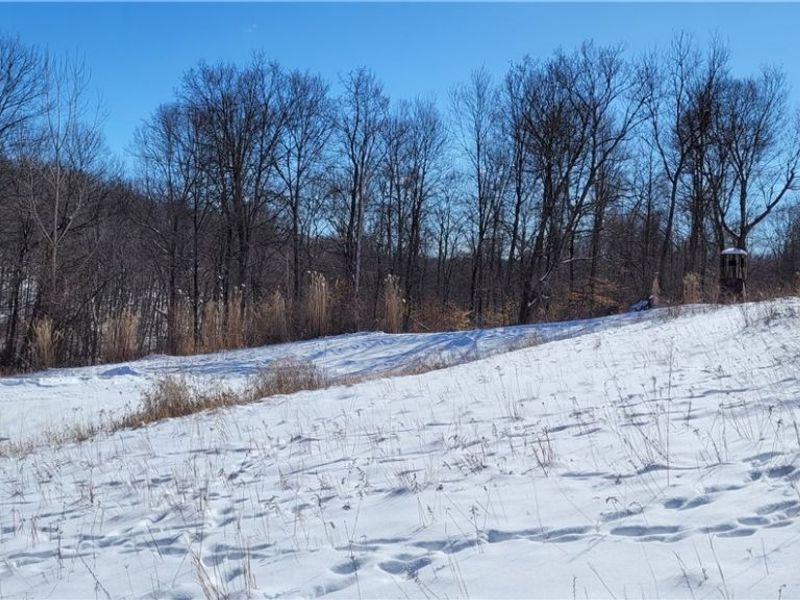 33480 County Road 99, Warsaw, OH 43844 Photo 38