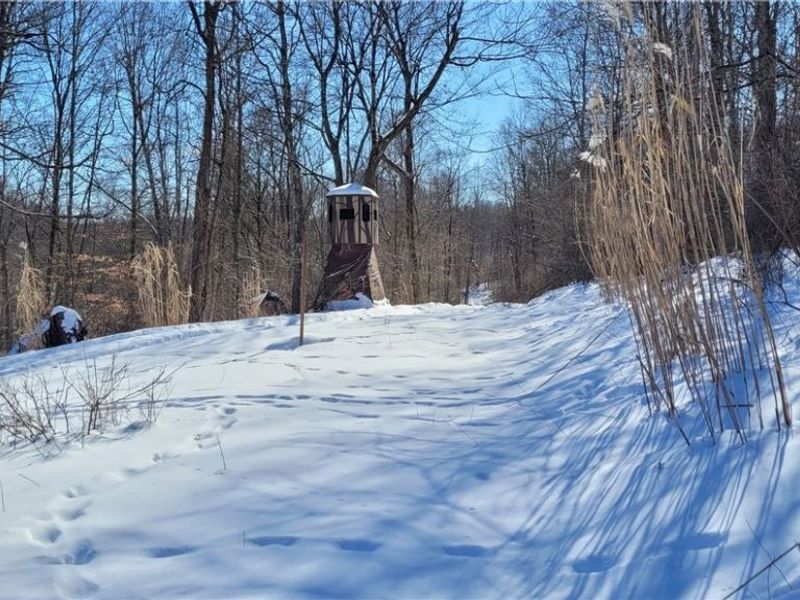 33480 County Road 99, Warsaw, OH 43844 Photo 39