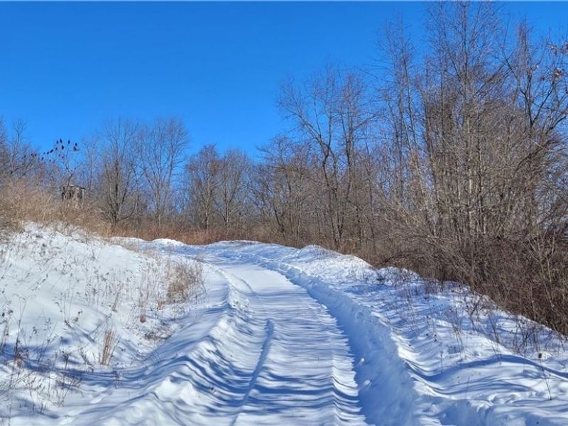 33480 County Road 99, Warsaw, OH 43844 Photo 4