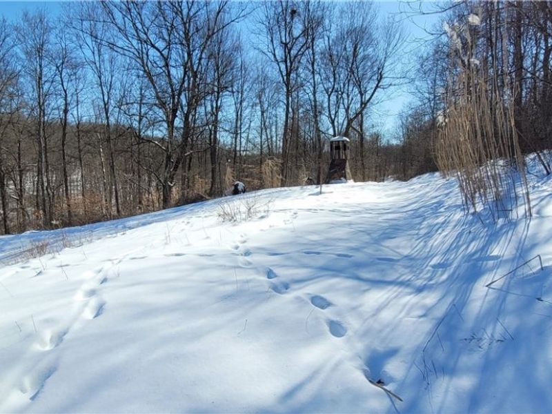 33480 County Road 99, Warsaw, OH 43844 Photo 41