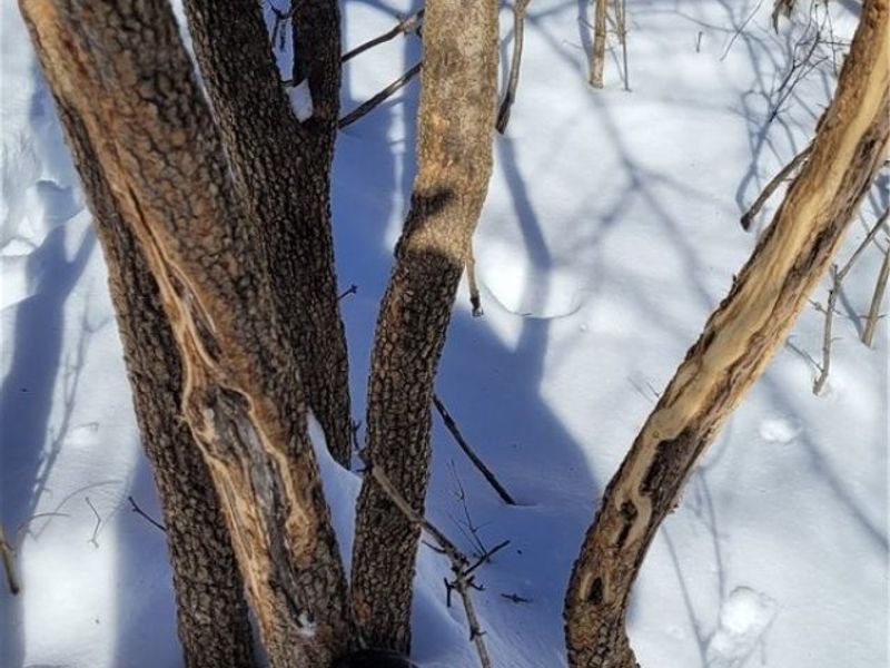 33480 County Road 99, Warsaw, OH 43844 Photo 42