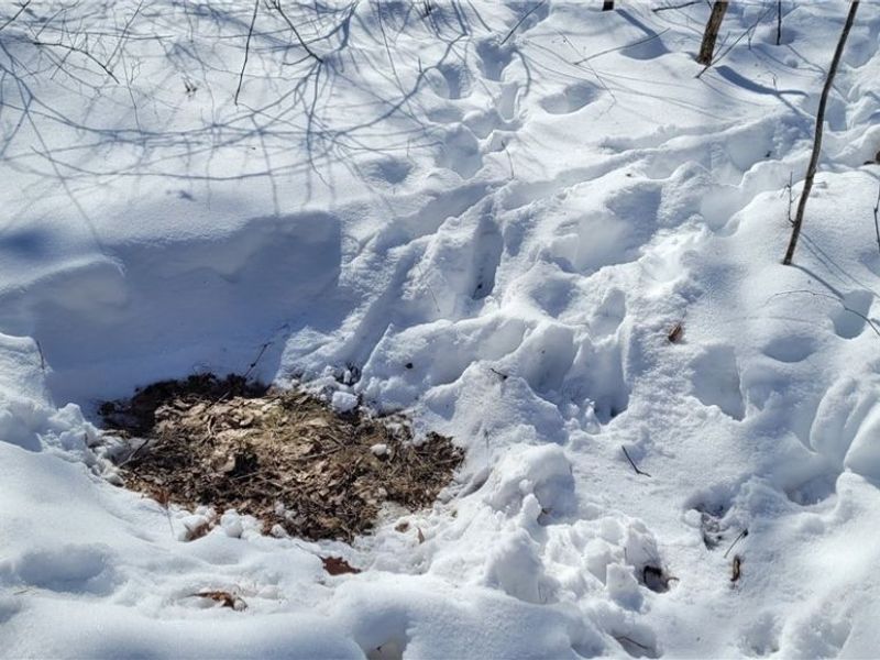 33480 County Road 99, Warsaw, OH 43844 Photo 43