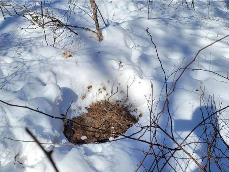 33480 County Road 99, Warsaw, OH 43844 Photo 44