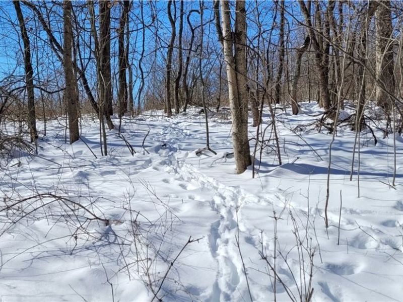 33480 County Road 99, Warsaw, OH 43844 Photo 45