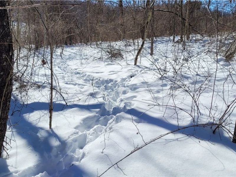 33480 County Road 99, Warsaw, OH 43844 Photo 46