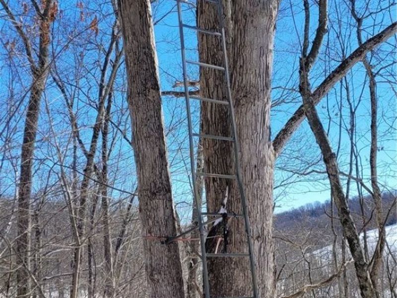 33480 County Road 99, Warsaw, OH 43844 Photo 47