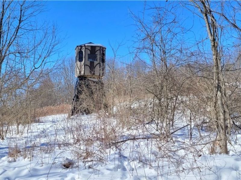 33480 County Road 99, Warsaw, OH 43844 Photo 48