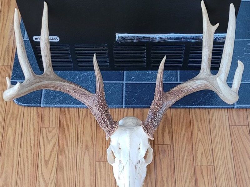 33480 County Road 99, Warsaw, OH 43844 Photo 49