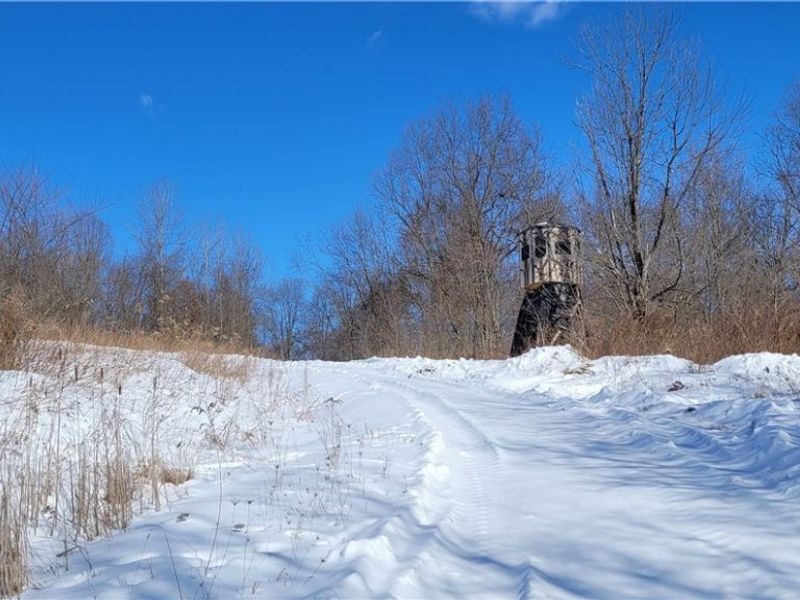 33480 County Road 99, Warsaw, OH 43844 Photo 5