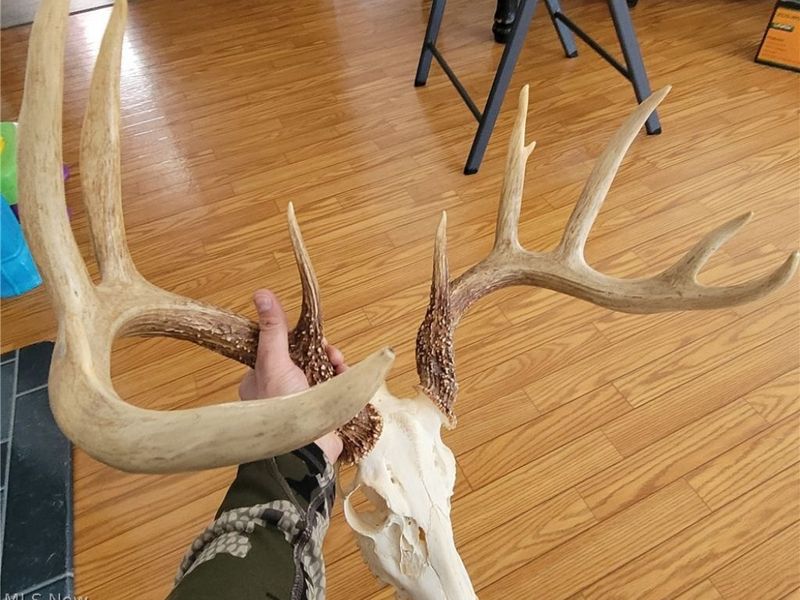 33480 County Road 99, Warsaw, OH 43844 Photo 50