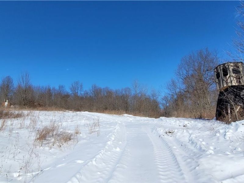 33480 County Road 99, Warsaw, OH 43844 Photo 6