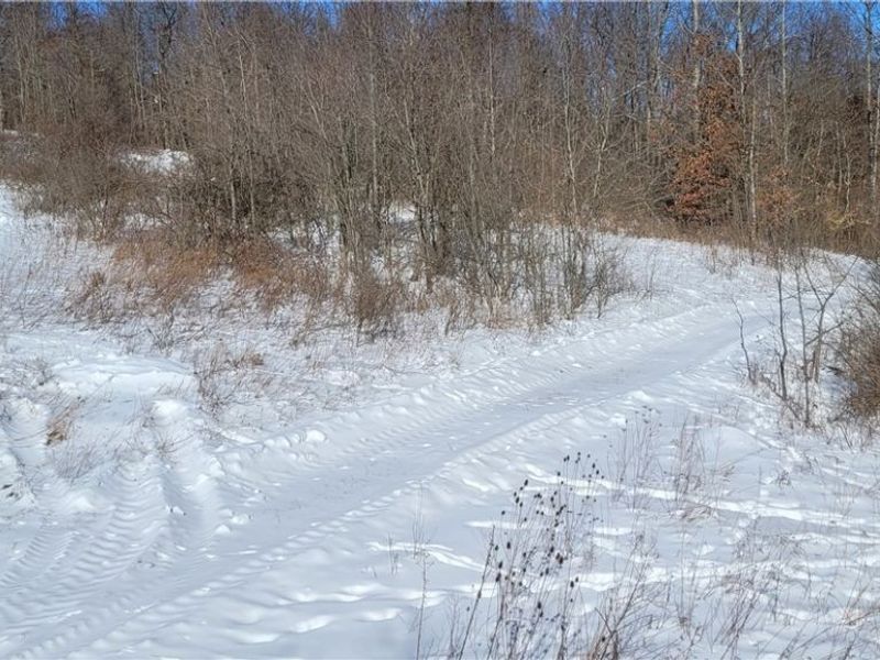 33480 County Road 99, Warsaw, OH 43844 Photo 8