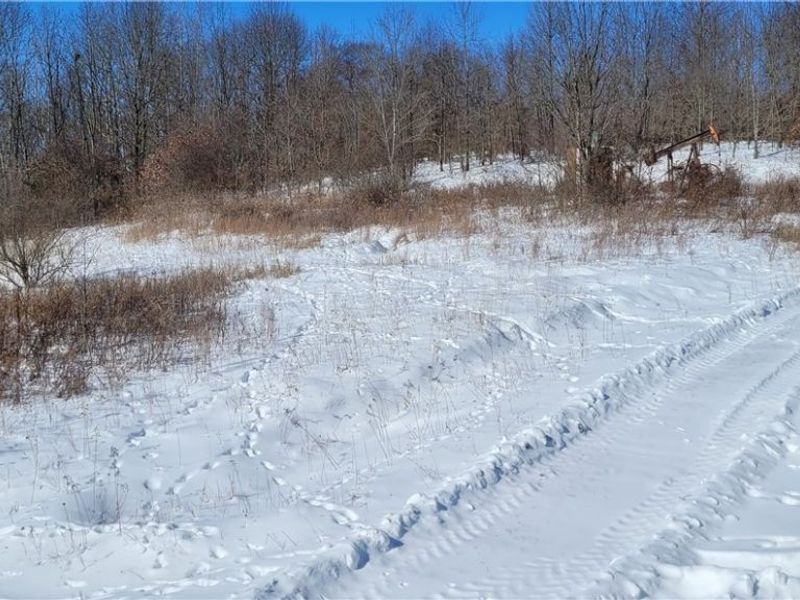 33480 County Road 99, Warsaw, OH 43844 Photo 9