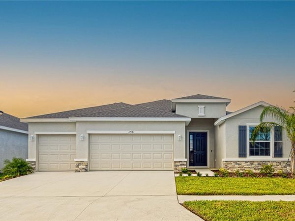 32183 CONCHSHELL SAIL STREET, WESLEY CHAPEL, FL 33545