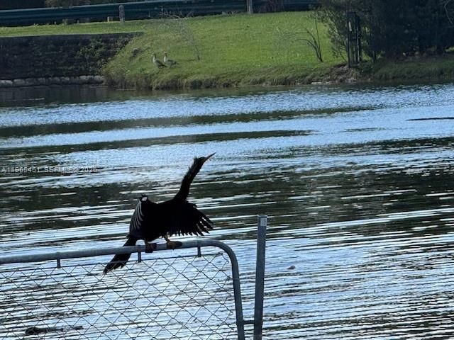 11820 SW 69th Ct, Pinecrest, FL 33156 Photo