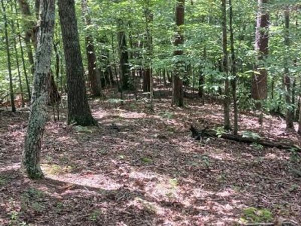 0000 Whisper Way, Newport, TN 37821