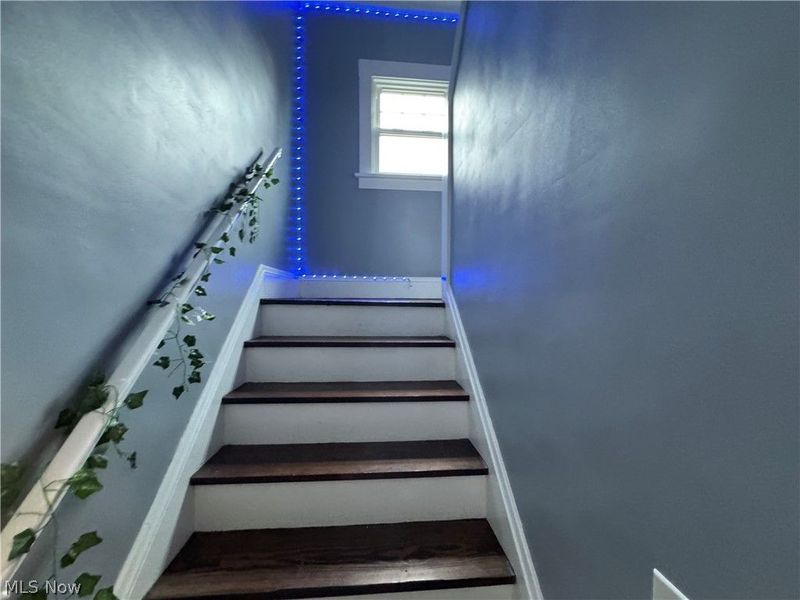 14622 Superior Road, Cleveland, OH 44118 Photo 17