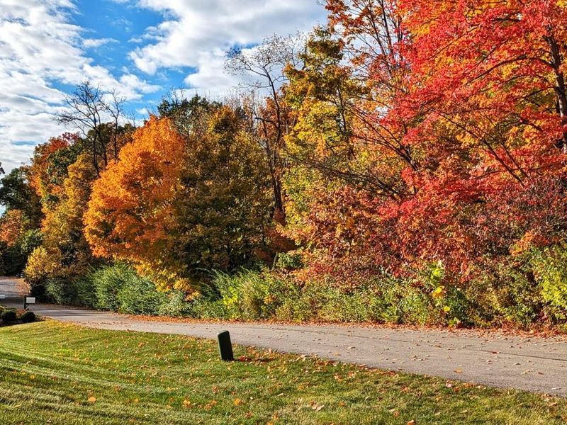 6334 Artesian Run, Delaware, OH 43015 Photo 7