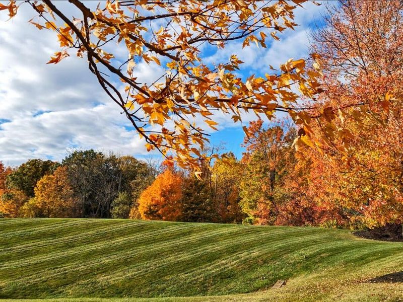 6334 Artesian Run, Delaware, OH 43015 Photo 8