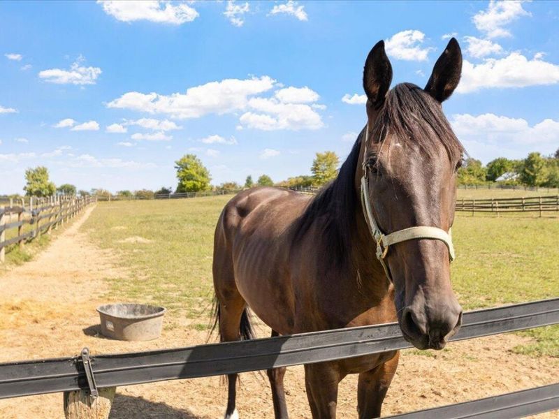 7233 National Road SE, Thornville, OH 43076 Photo 6