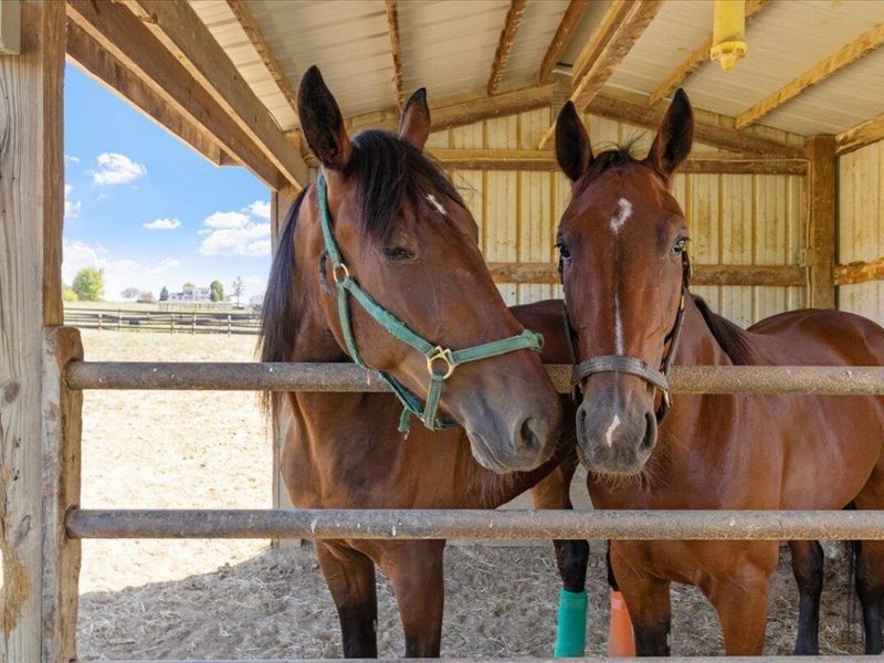 7233 National Road SE, Thornville, OH 43076 Photo 7