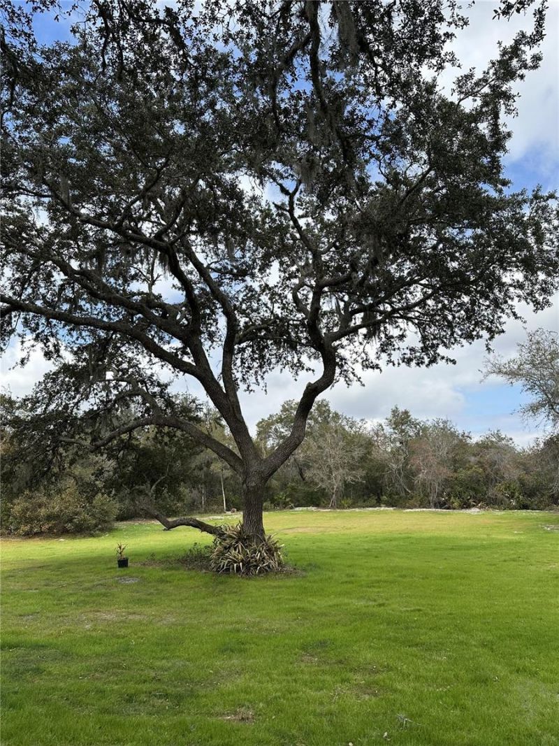 2598 Enterprise Osteen Road, Osteen, FL 32764 Photo