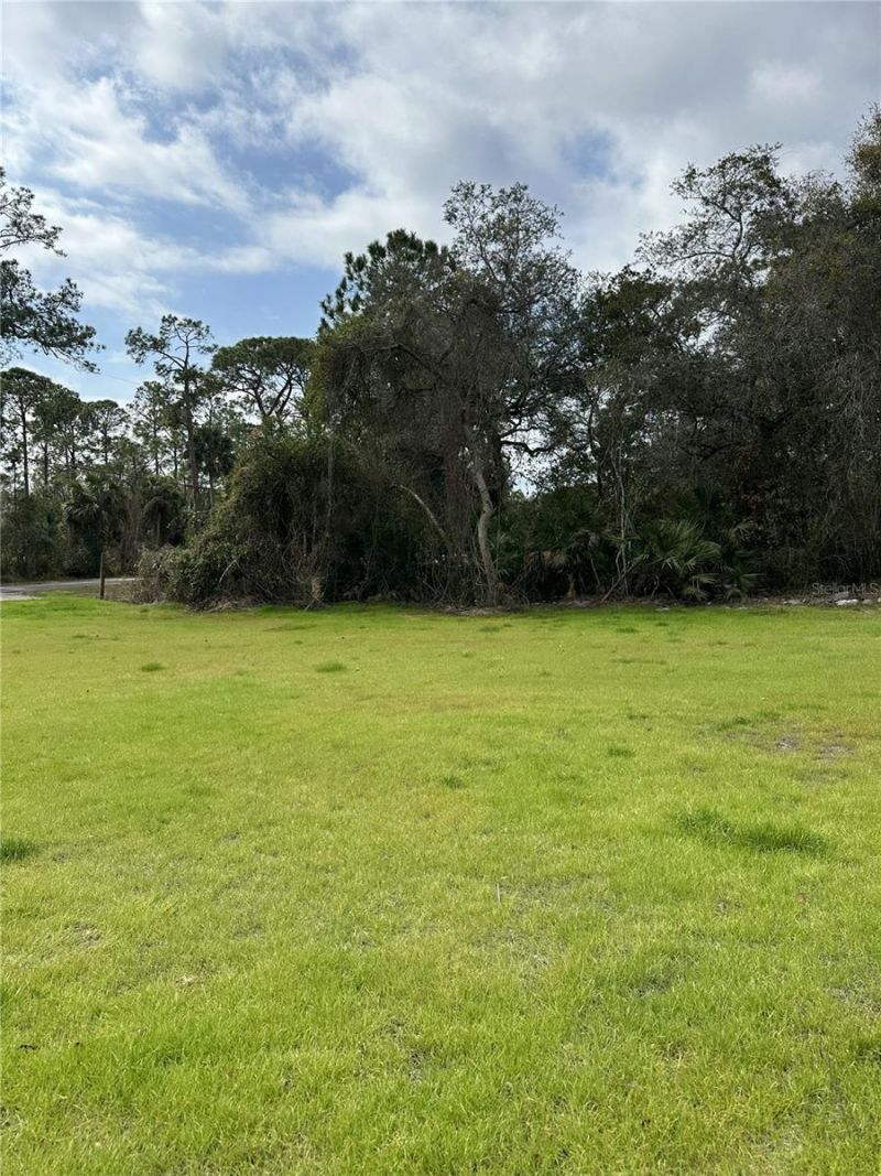 2598 Enterprise Osteen Road, Osteen, FL 32764 Photo