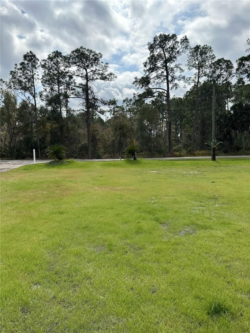 2598 Enterprise Osteen Road, Osteen, FL 32764 Photo