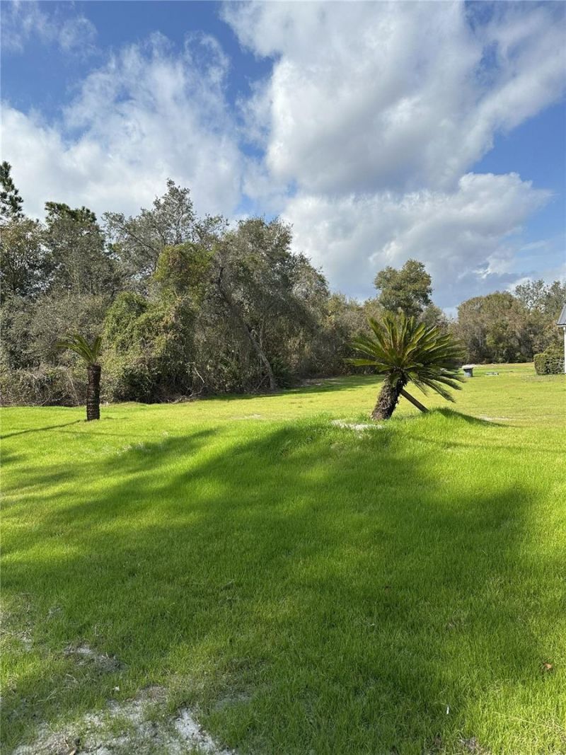 2598 Enterprise Osteen Road, Osteen, FL 32764 Photo