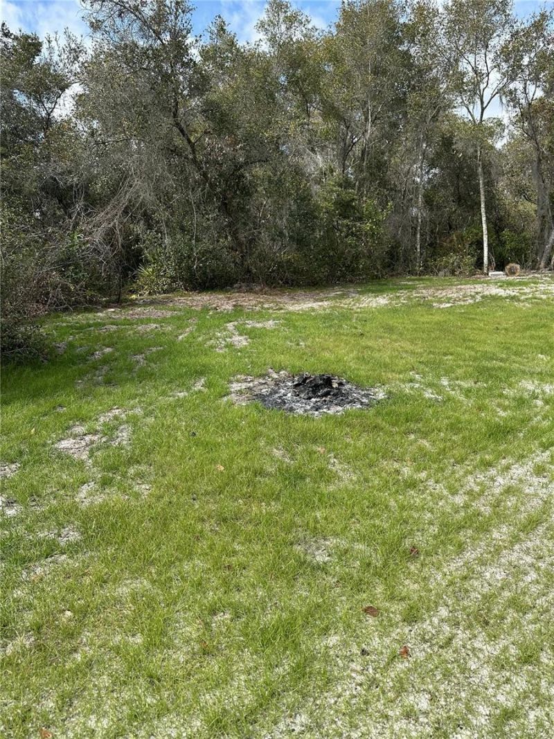 2598 Enterprise Osteen Road, Osteen, FL 32764 Photo