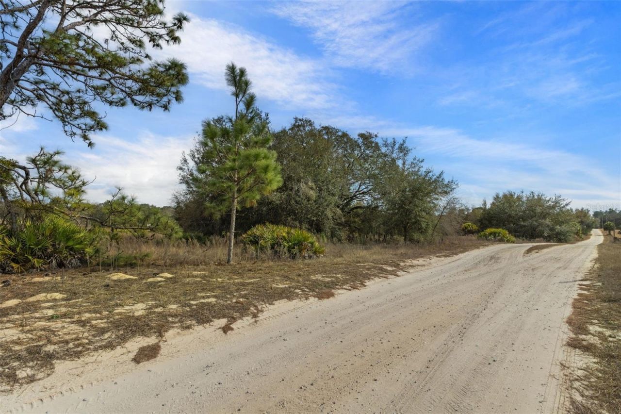 6725 S Rainbow Point, Homosassa, FL 34446 Photo