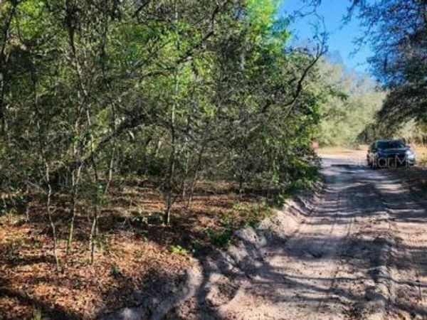 OAKRIDGE DRIVE, LADY LAKE, FL 32159