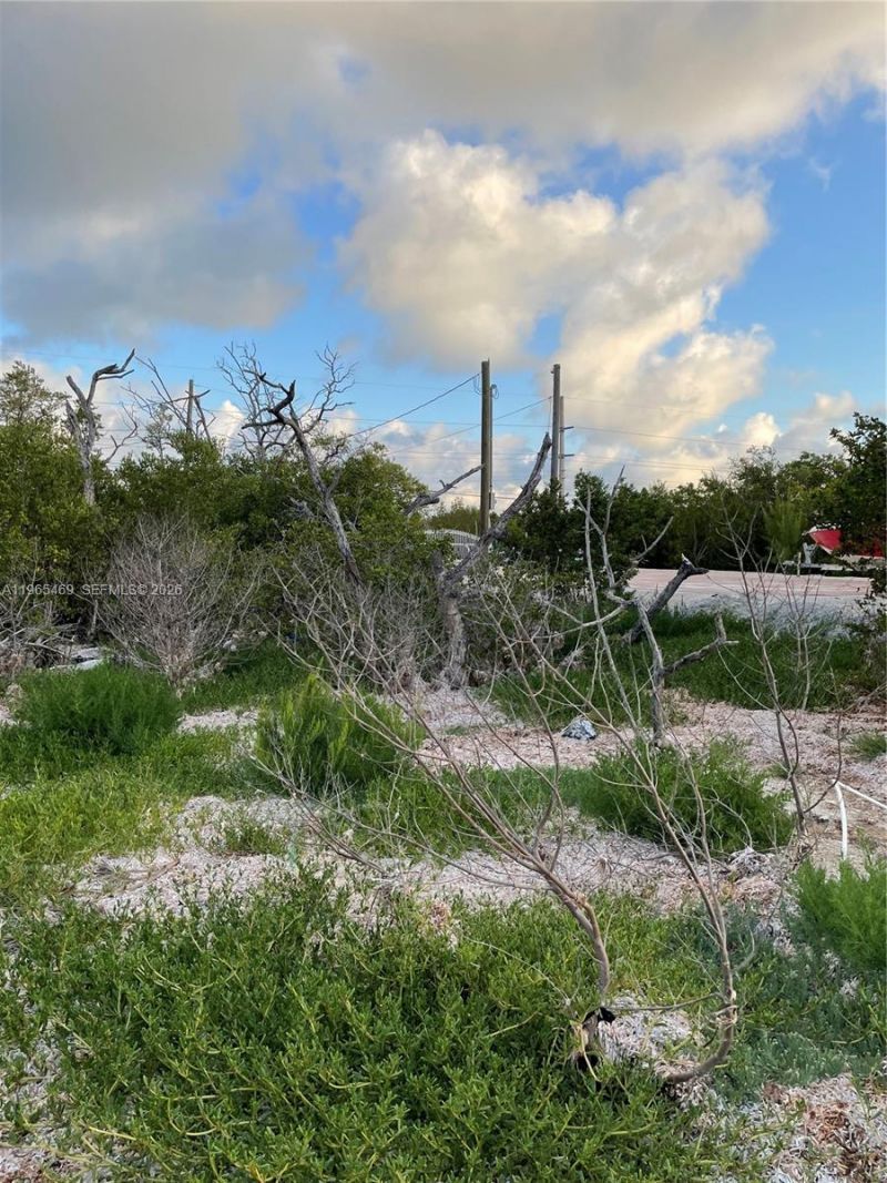 Overseas Highway Over Hwy , Marathon, FL 33050 Photo