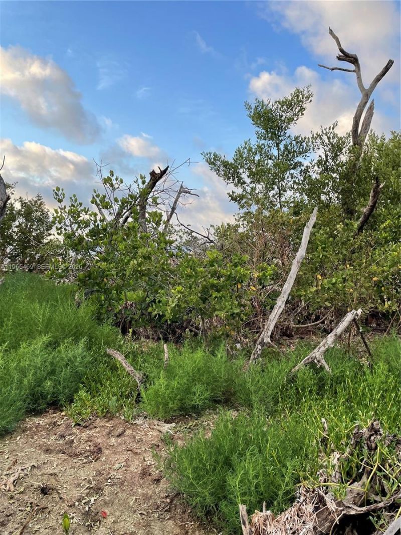 Overseas Highway Over Hwy , Marathon, FL 33050 Photo