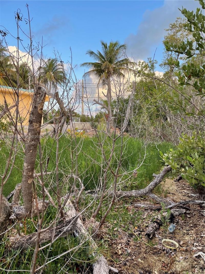 Overseas Highway Over Hwy , Marathon, FL 33050 Photo