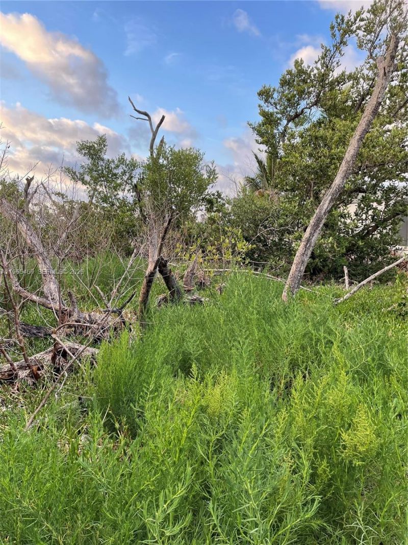 Overseas Highway Over Hwy , Marathon, FL 33050 Photo