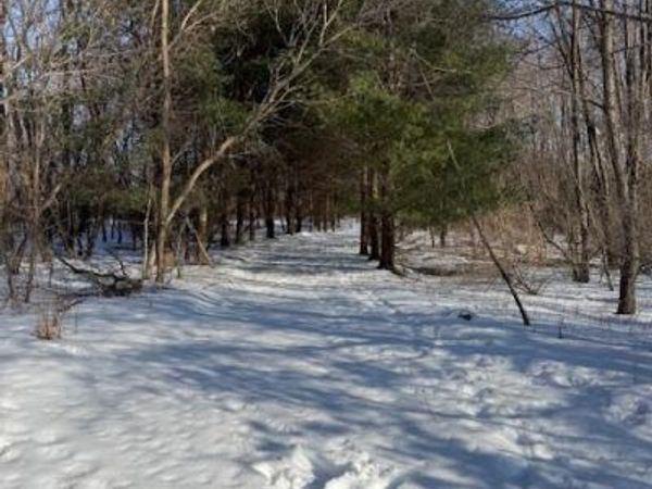 Warner Road, Laingsburg, MI 48848