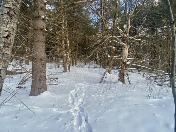 90 VT Route 140, Tinmouth, VT 05773