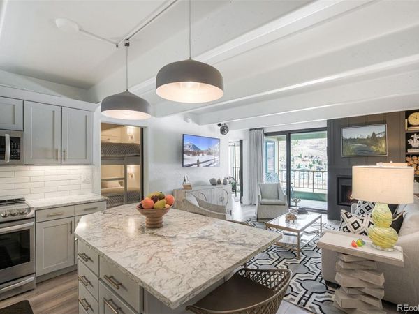 220 E La Bonte Street , Unit 231, Dillon, CO 80435