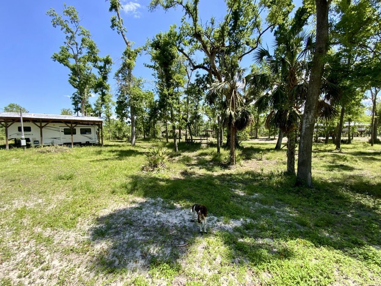 1903 SE Boundary Bend Trail, Lee, FL 32059 Photo