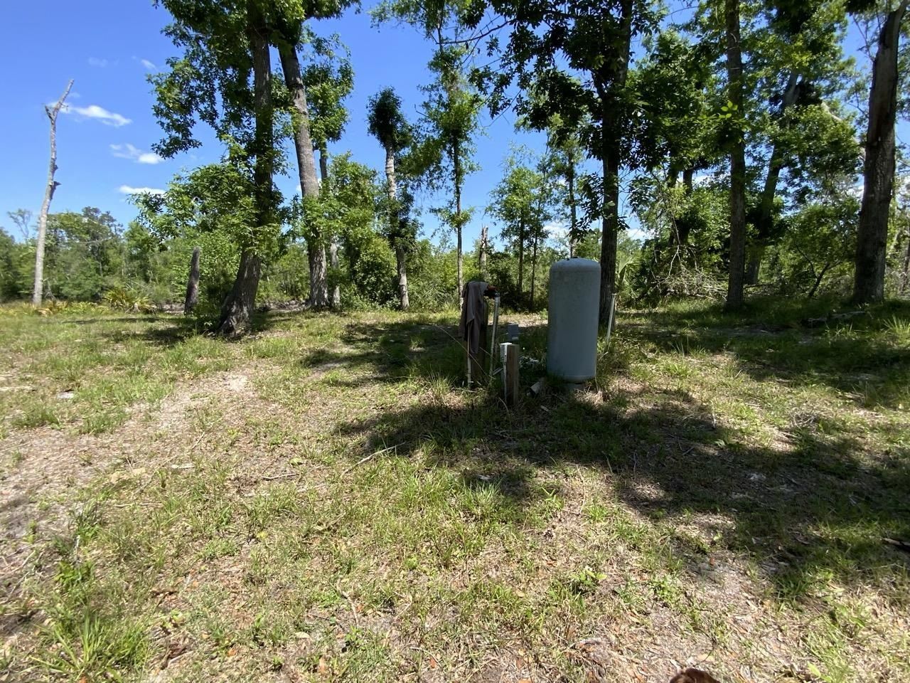 1903 SE Boundary Bend Trail, Lee, FL 32059 Photo