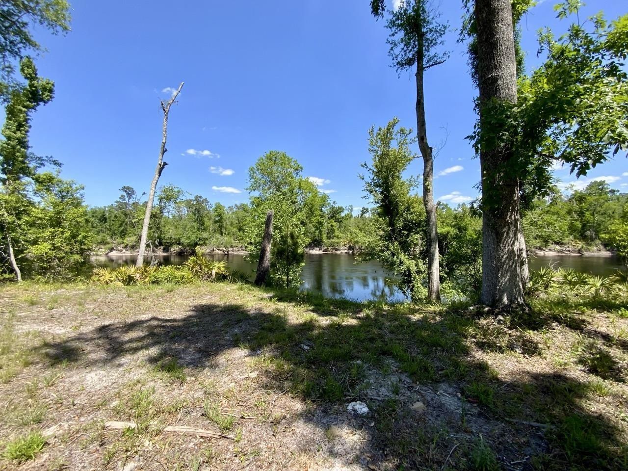 1903 SE Boundary Bend Trail, Lee, FL 32059 Photo
