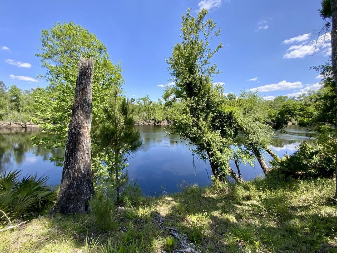 1903 SE Boundary Bend Trail, Lee, FL 32059 Photo