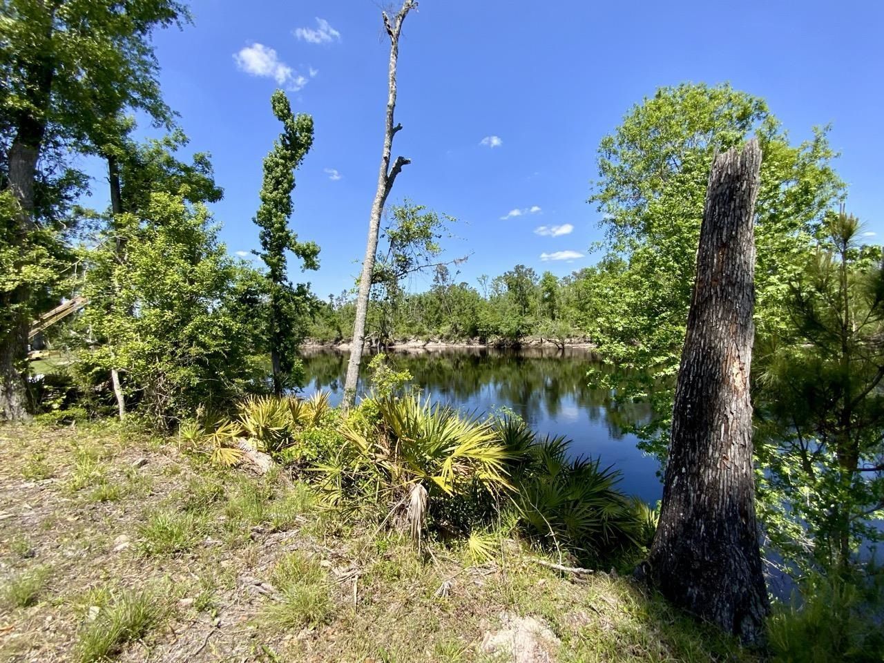 1903 SE Boundary Bend Trail, Lee, FL 32059 Photo