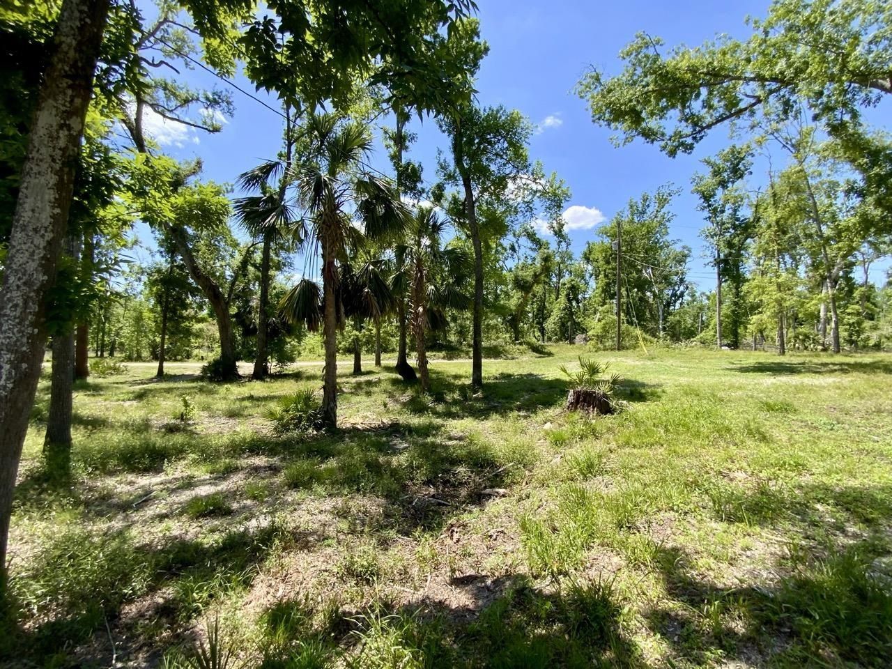 1903 SE Boundary Bend Trail, Lee, FL 32059 Photo