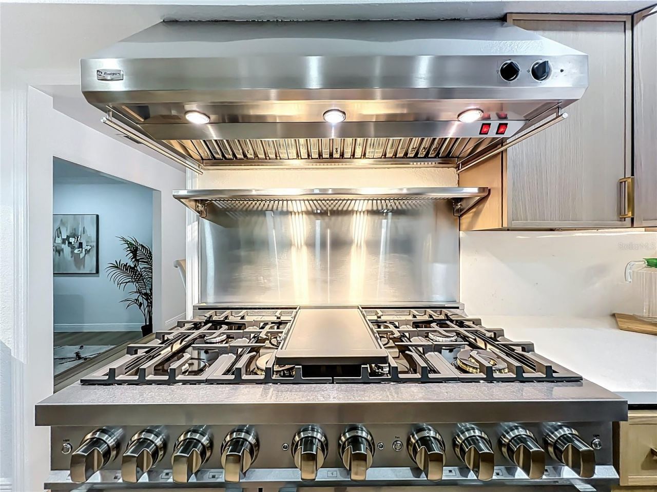 51 Oakleigh Lane, Maitland, FL 32751 Photo