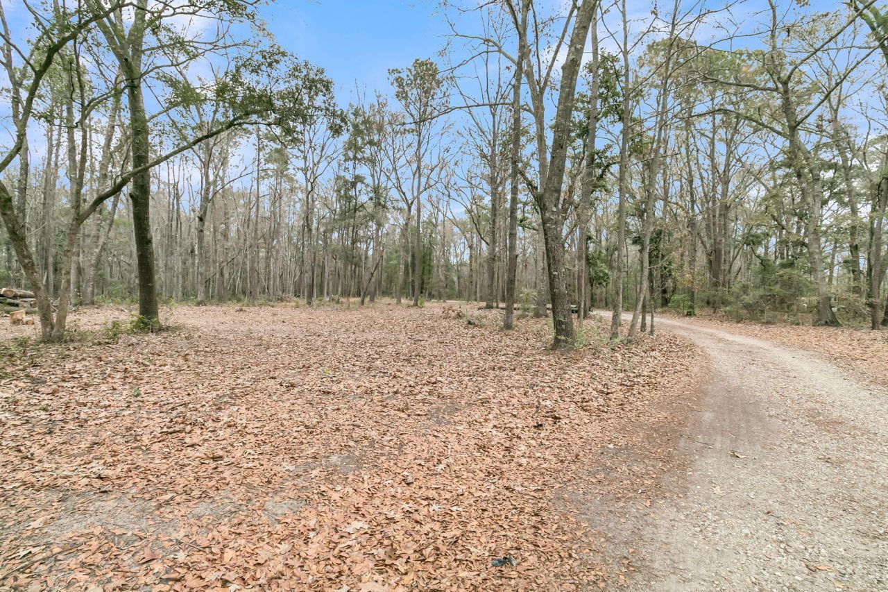 7769 Old Jacksonboro Road Photo 41