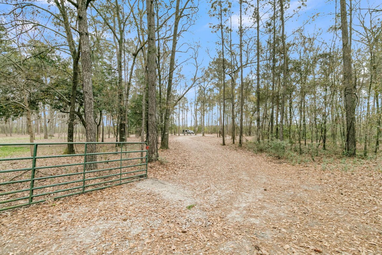 7769 Old Jacksonboro Road Photo 42