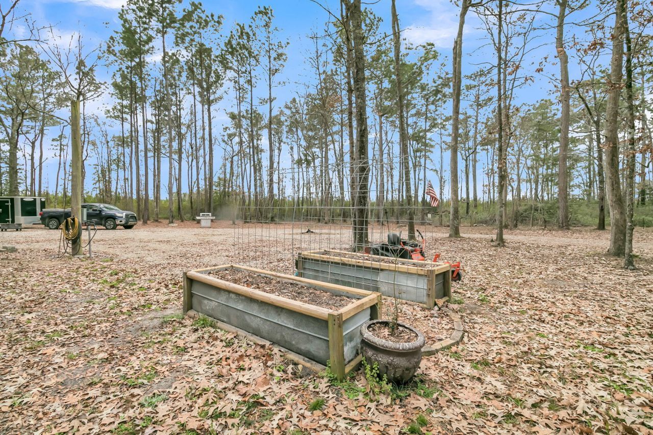 7769 Old Jacksonboro Road Photo 44